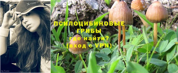 бутик Магас