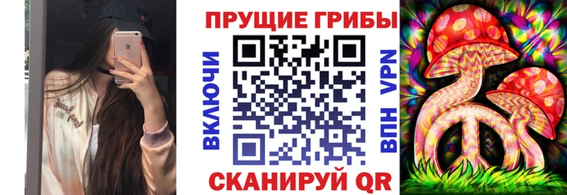 Купить где  Ленинск-Кузнецкий  Псилоцибиновые грибы ЛСД 