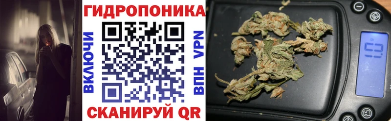 Купить закладки  Ленинск-Кузнецкий  Канабис планчик 